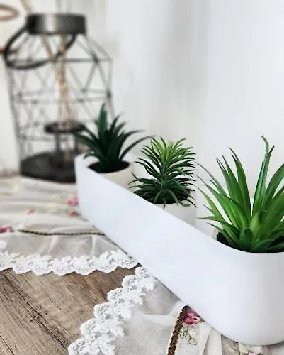 Urban 360 View Apartamento